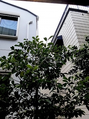 15/30 その他画像