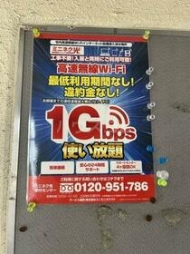 5/5 周辺
