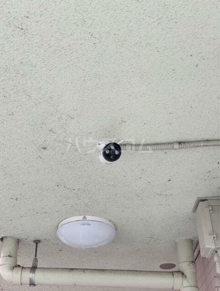 13/18 その他画像