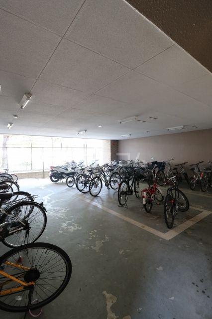 13/25 その他画像