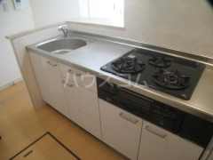 11/16 その他画像