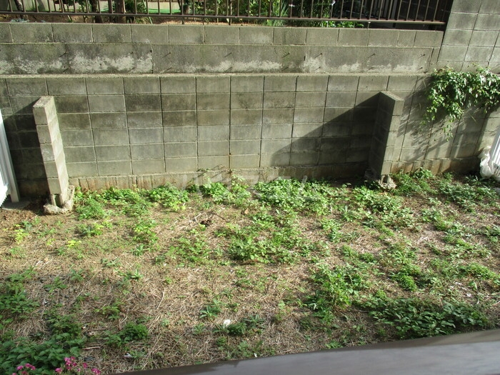 6/11 その他画像