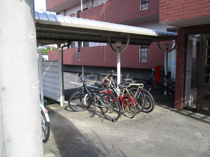 8/11 その他画像