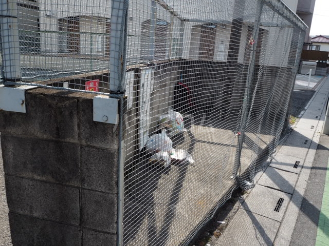 28/30 その他画像