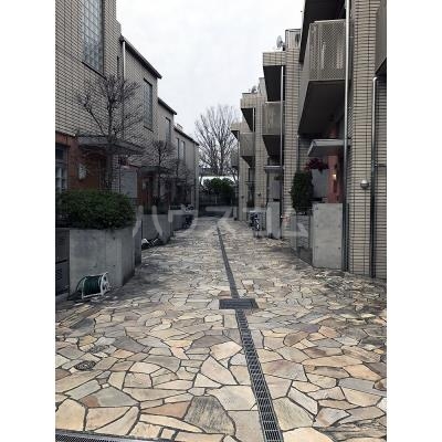 17/26 その他画像