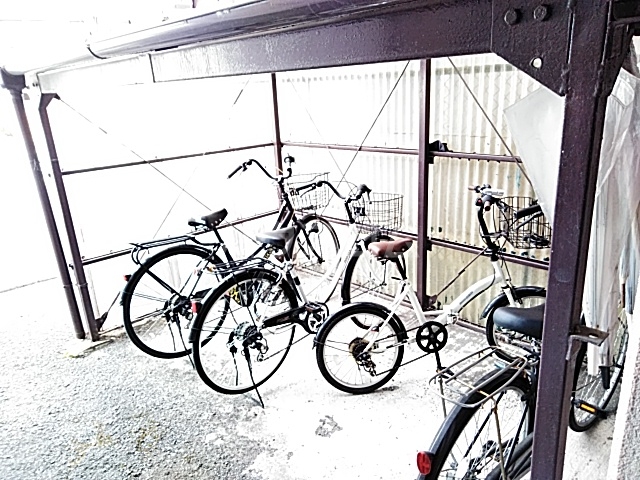 20/30 その他画像