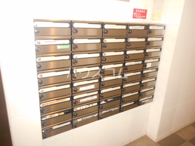 15/19 その他画像