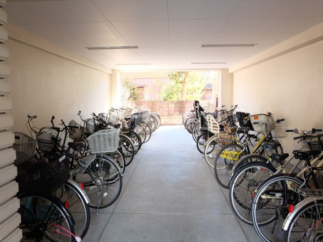 19/29 その他画像