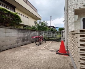 4/9 周辺