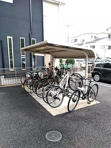 20/30 その他画像