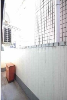 11/22 その他画像