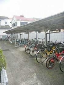 その他共有
