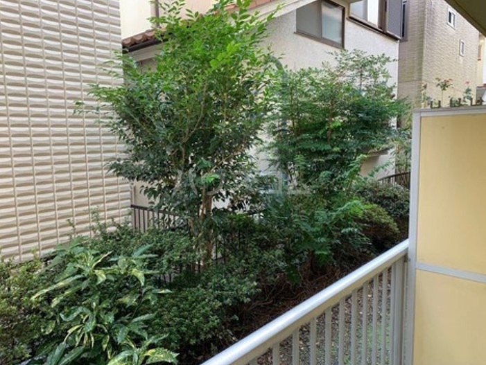 17/24 その他画像