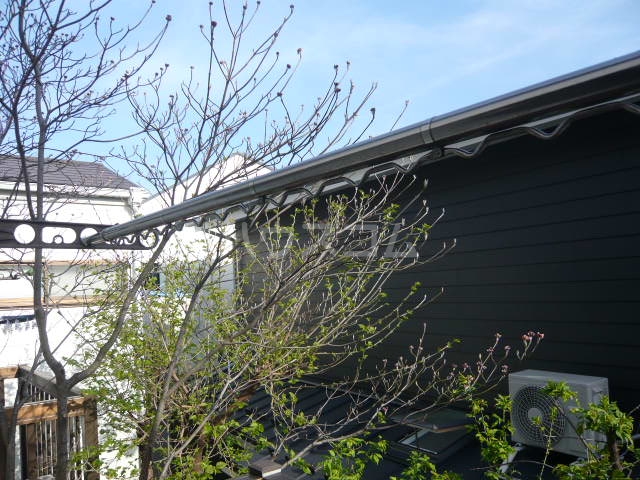 16/30 その他画像