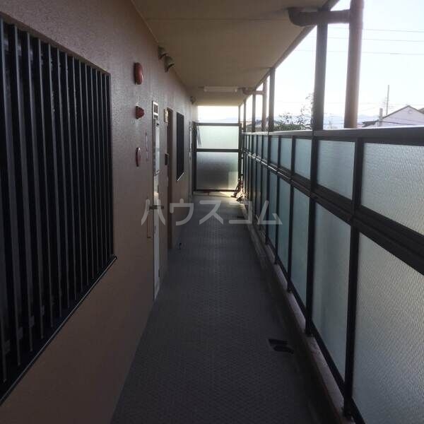 3/16 その他画像