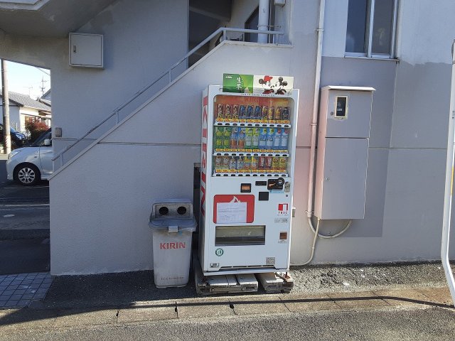 5/15 周辺
