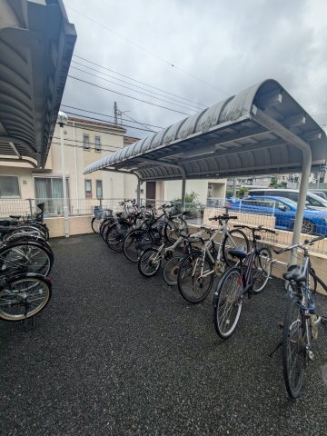 その他画像