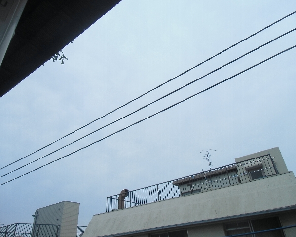 15/29 その他画像