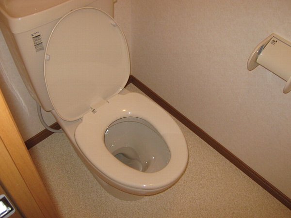 13/29 トイレ
