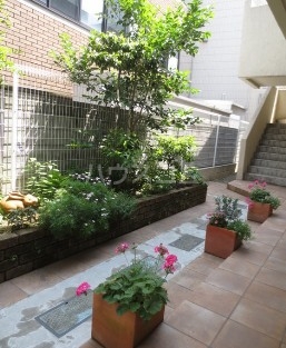 16/21 その他画像