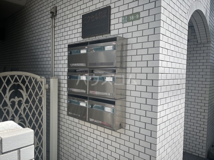 20/30 その他画像