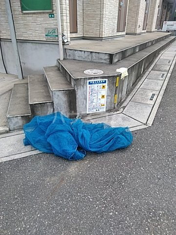 21/29 その他画像