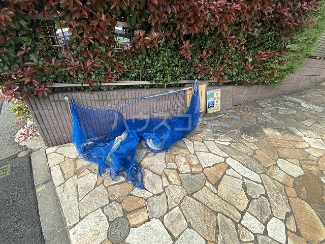 17/30 その他画像