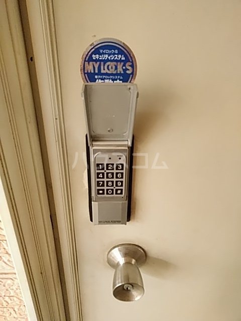 20/30 その他画像