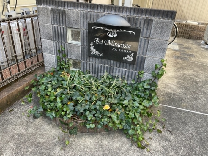 16/26 その他画像