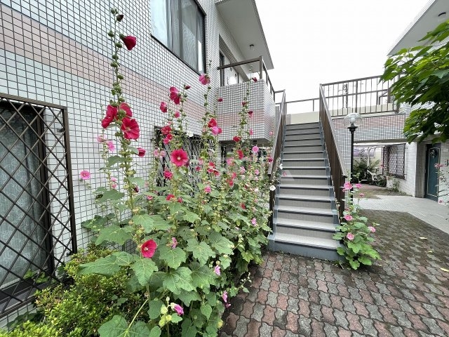 19/29 その他画像