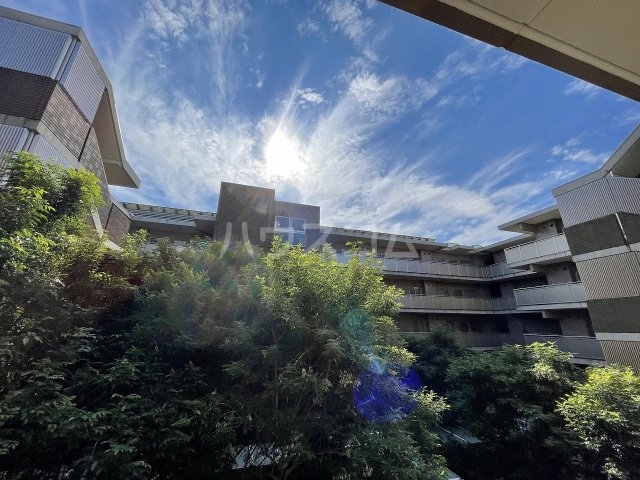 13/24 その他画像