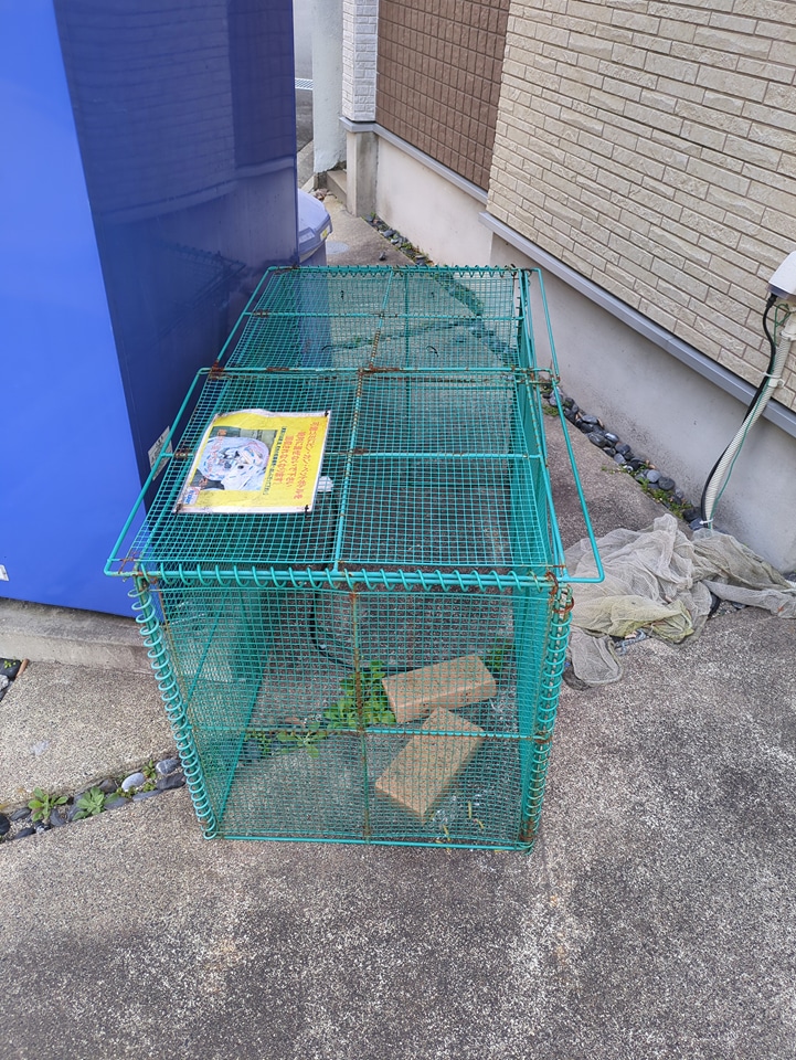 16/26 その他画像