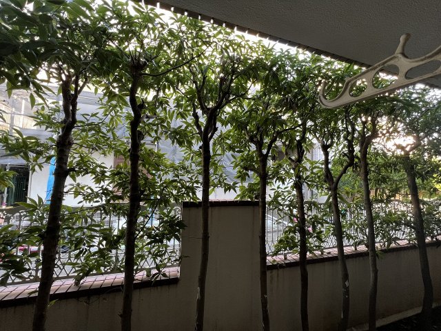 16/24 その他画像