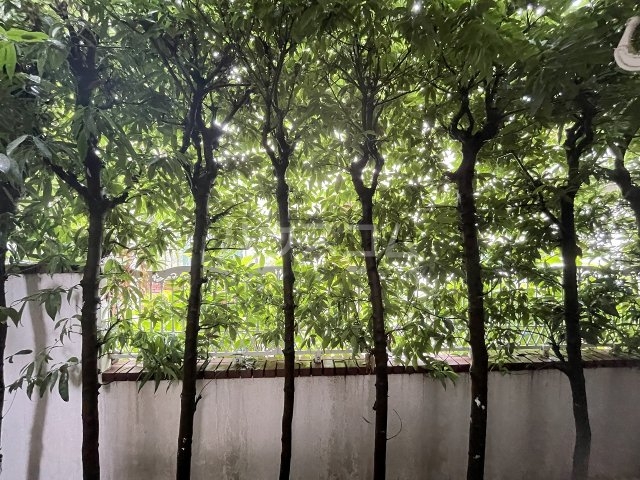 16/24 その他画像