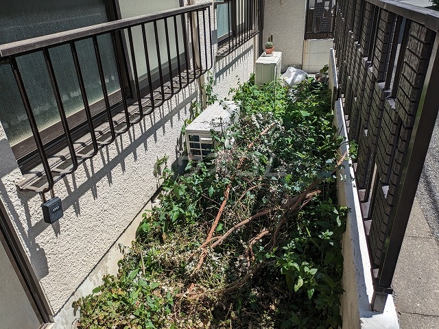 20/28 その他画像