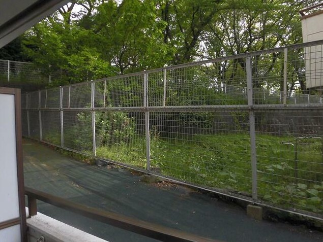 17/26 その他画像