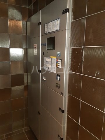 25/30 その他画像