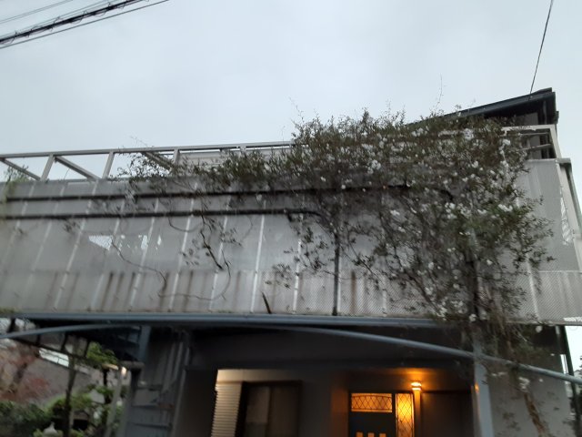 2/9 外観
