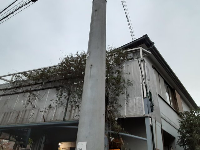 3/30 外観