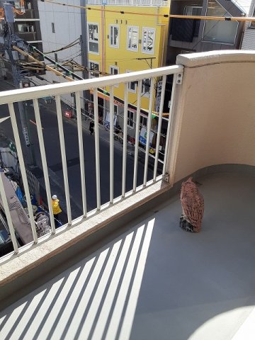 18/26 バルコニー