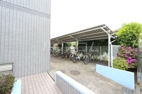 14/17 その他画像