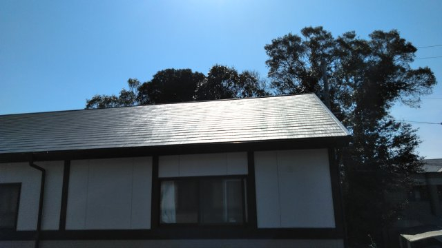 17/29 その他画像