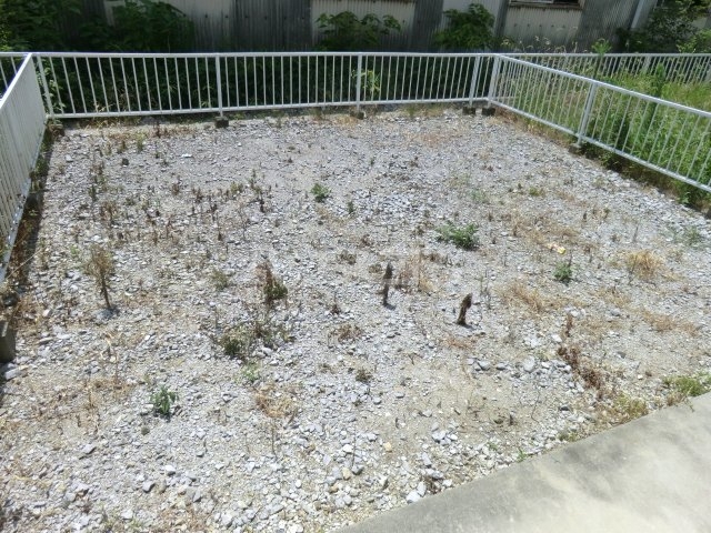 17/26 その他画像