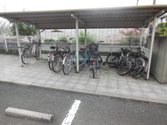 3/17 その他画像