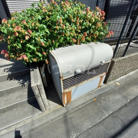 11/22 その他画像