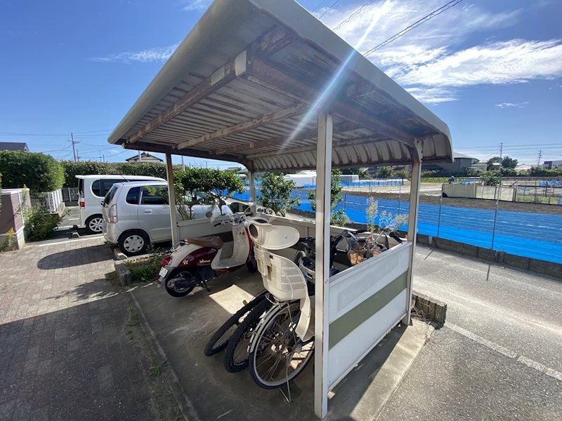 20/30 その他画像