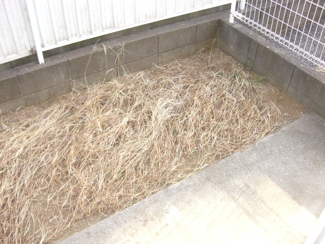 14/25 その他画像