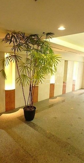 5/13 その他画像