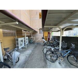 3/13 その他画像