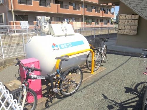 6/18 その他画像